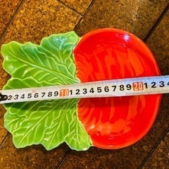 🔵家族の食卓に！見栄えも可愛いガブのお皿の画像