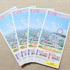 ネモフィラ祭り 2024 入園割引券 シーサイドパーク 大阪 舞...