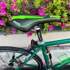 GIANT ESCAPE R3 ジャイアント クロスバイク 引き取り限定の画像