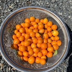 食品
