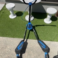 Yフリッカー　C3の画像