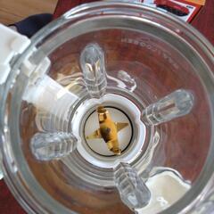 【お取り引き決定】家電 キッチン家電 ジューサー、ミキサーの画像