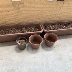花を育てるための資材