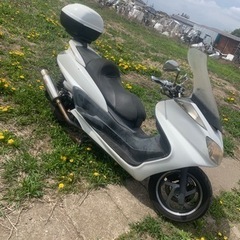 ヤマハグランドマジェスティ自賠責あり！の画像