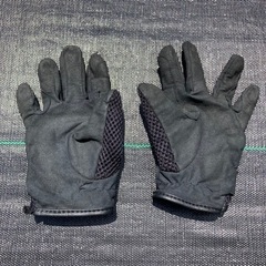 キッズ用　乗馬用　グローブの画像