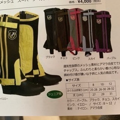 乗馬用　チャップスの画像
