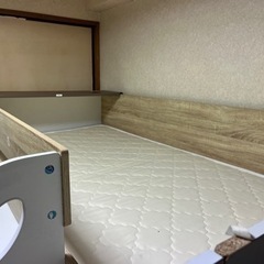 無料ベットの画像