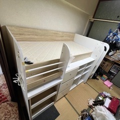 無料ベット