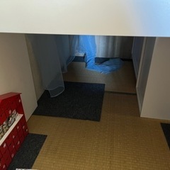 無料ベットの画像