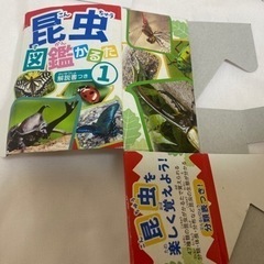昆虫図鑑カルタ