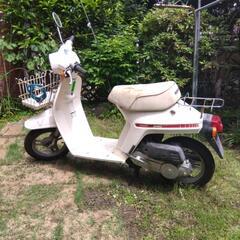 バイク ホンダ