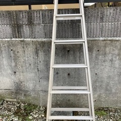 ＊決まりました＊脚立 5段