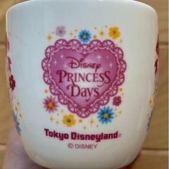 値下❗️レア！TDR スーベニアカップ   各種の画像