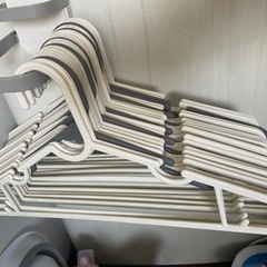 生活雑貨 洗濯用品 ハンガー