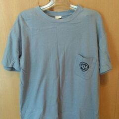 ヘリーハンセン　HELLY HANSEN　Tシャツ　ユニセックス　Mサイズの画像