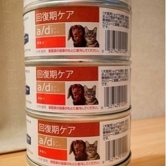 ヒルズ 回復ケア a/d チキン猫用療法食 缶詰 156g×5