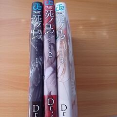 漫画本 Dr.イム 死ノ鳥の画像