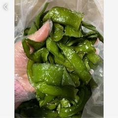 岩手県産　塩蔵茎わかめ　5キロ‼️定価5000円からお値引き