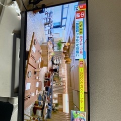テレビ