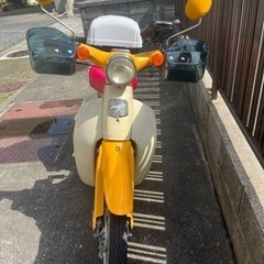 値下げ　リトルカブ　自賠責、リアボックス、ナックルガード付　カブ...
