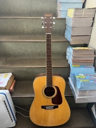 楽器 注文 弦楽器、ギター モーリス MD-251N 超美品ほぼ未使用Morris