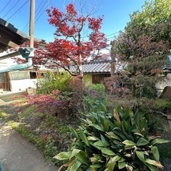 家具 ミラー/鏡　トイレ　ふすま　欄間　　の画像