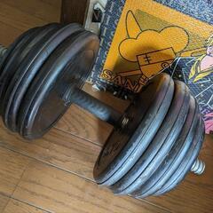 今だけ値下げ中　ダンベル