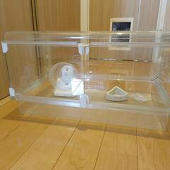 (終了)ハムスター飼育セット60cm　GEXグラスハーモニーマルチ600の画像