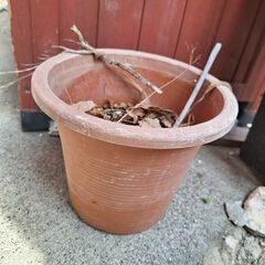 植木鉢茶色ガーデニング用品の画像