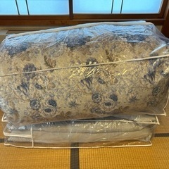 GW限定‼️残り3日‼️26万円→2万円⁉️