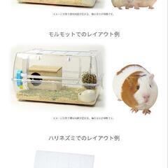 ハムスター飼育セット60cm　ルーミー60の画像