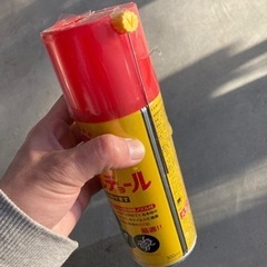 アリキンチョールの画像