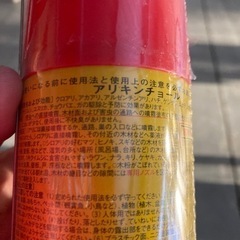 アリキンチョールの画像