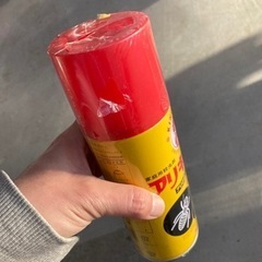 アリキンチョールの画像