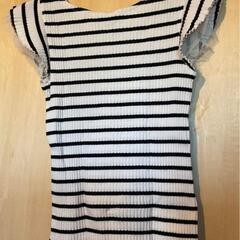 レースTシャツの画像