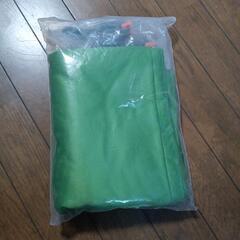 背景布 緑 150*300cm 撮影用 厚地 不透明 反射面と無反射面がありの画像