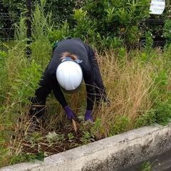 社宅あり！即日勤務可能！草刈、枝切、草むしり、清掃作業、交通誘導員の画像