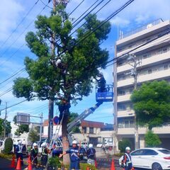 社宅あり！即日勤務可能！草刈、枝切、草むしり、清掃作業、交通誘導員の画像