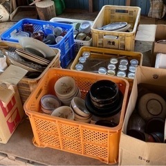 コンテナ詰め放題‼️で300円の画像
