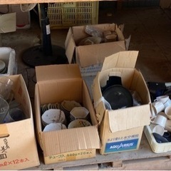 コンテナ詰め放題‼️で300円の画像