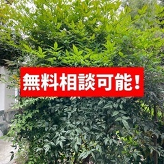 ⭐️伐採・剪定・草刈りお任せください！関東近郊