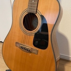★決定★楽器 弦楽器、ギターの画像
