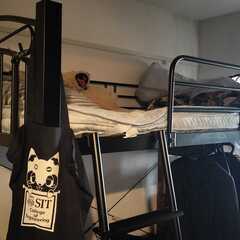 ロフトベッド　差し上げます。（取りに来れるかた）の画像