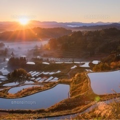 5月6日　星峠の棚田の撮影