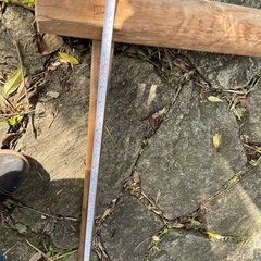 近江八幡市より、きね、餅つきなどにどうぞの画像