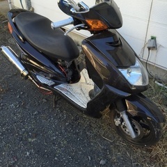 シグナスSE12
