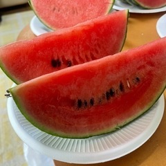 一緒にバーベキューしましょう！ - メンバー募集