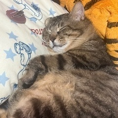 探しています。