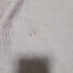 しまむら スカートの画像