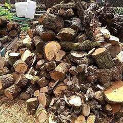 キャンプや薪ストーブ等に！コロ薪(梨)